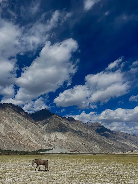 Leh ladakh - Photo 2