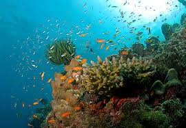 andaman &amp; nicobar - Photo 3