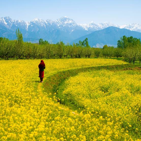 kashmir - Photo 5